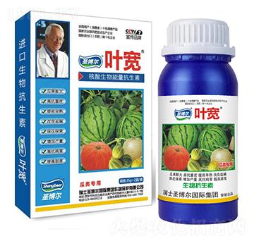 ������~���-��������ø�T����-�~��-ʥ��������