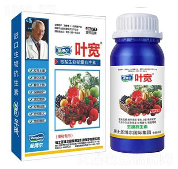 ����(sh��)��(zhu��n)���~���-��������ø�T����-�~��-ʥ��������