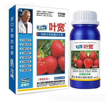 ��ݮ��(zhu��n)���~���-��������ø�T����-�~��-ʥ��������