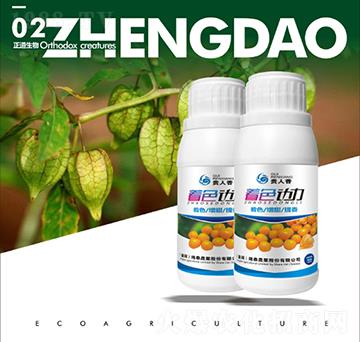 ��ɫ��(d��ng)��-��������