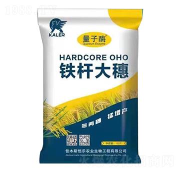 �F�U����-���r�I(y��)