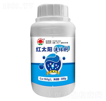 ���w�}��ƿ��-�t̫�-