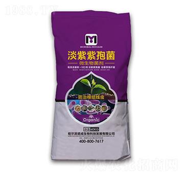 淡紫紫孢菌-魯農(nóng)集團