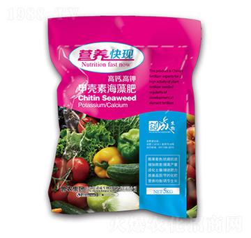 營養(yǎng)快現(xiàn)甲殼素海藻肥-魯農(nóng)集團(tuán)