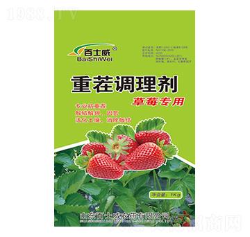 ��ݮ��(zhu��n)���ز��{(di��o)�턩-��ʿ��