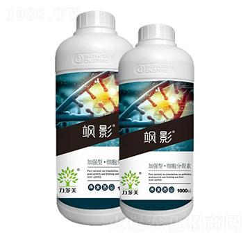 加強(qiáng)型·細(xì)胞分裂素-颯影-農(nóng)圣人