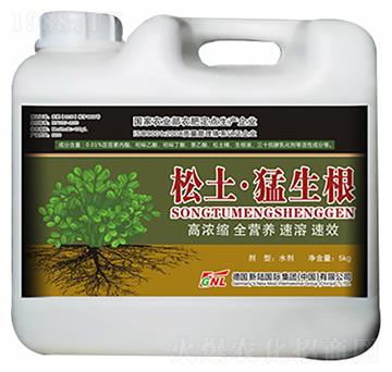 松土猛生根-德化