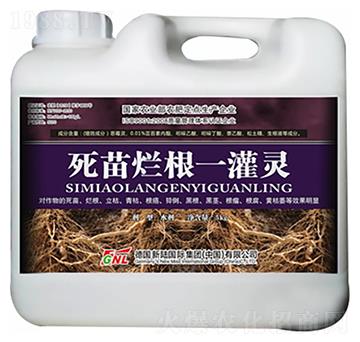 死苗爛根一灌靈-德化