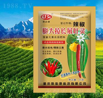 ����������Lչ�~�`-˹�ؿ�