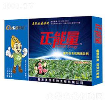 ������ľ�����������L������(qi��ng)�ф�-������