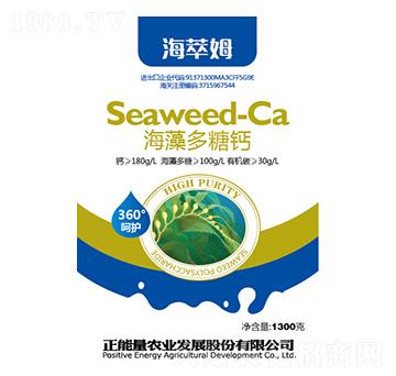 1300g��������}-����ķ-������