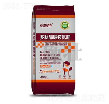 ����ø���@����-ʩ�ѷʘI(y��)