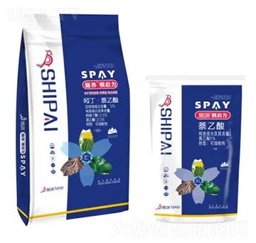 ������-ʩ������