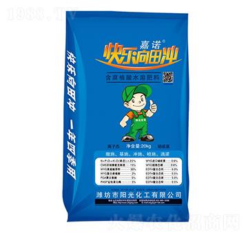 含腐植酸水溶肥料-嘉諾-陽(yáng)光化工