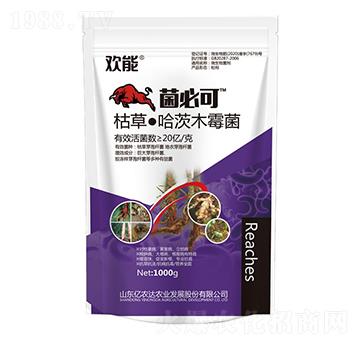 �ݲݡ�����ľù��-���ؿ�-�|�r(n��ng)�_(d��)�r(n��ng)�I(y��)