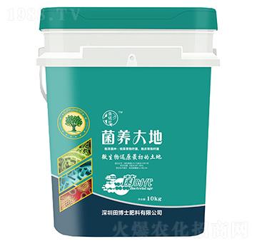 ���B(y��ng)���-�~���-�ﲩʿ