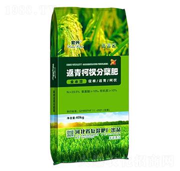 �������Y��-���d