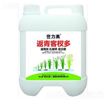 返青分蘗肥-世力高生物