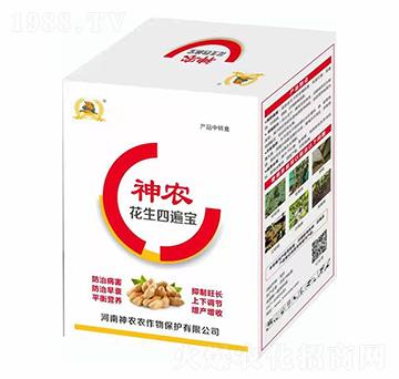 花生四遍寶-河南神農(nóng)