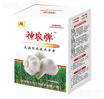 大蒜防病增產(chǎn)技術(shù)方案-神農(nóng)彈-河南神農(nóng)