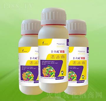 �S�����pӯ-�º��S