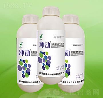 ����Һ��-�_��-�º��S