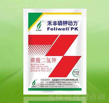 ���S��⛄���-�º��S