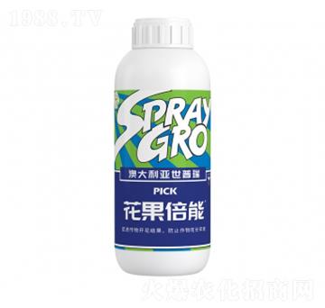 ��������-�����ط�