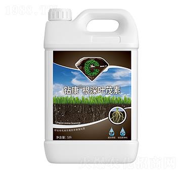 �@�������~ï��-��ţ�r�I(y��)