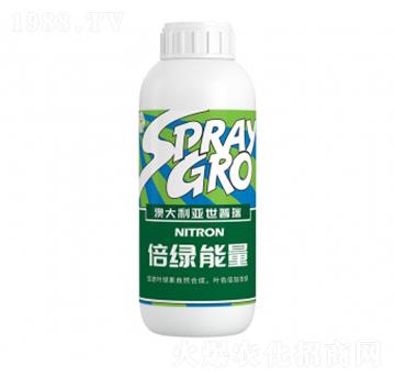 ���G����-��ţ�r�I(y��)