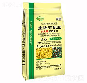 ���ɵ��������ЙC��-�R�������