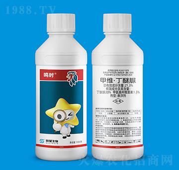 21.3%�׾S��������-�Q�r(sh��)-��������