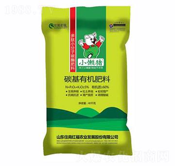 ̼���ЙC(j��)����-С���i-ס�̺긣