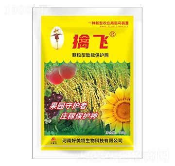 100g�w�������ܱ��o�W-���w-������