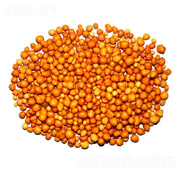 ����n�w����ጷ�15-7-13-ïʩ����