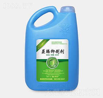 ���v���Ƅ�-������