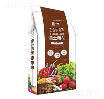 �{������-����ʘI(y��)