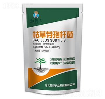 枯草芽孢桿菌-加德夫-晁群農業(yè)