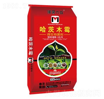 ����ľù΢�������-�������-���r(n��ng)���F(tu��n)