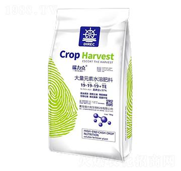 ����Ԫ��ˮ�ܷ���19-19-19+TE-������-���r