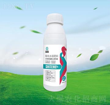 ��Ȼ��������T����-ʩ����