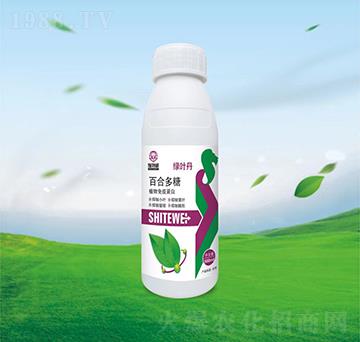 �ٺ϶���ֲ�����ߵ���-�G�~��-ʩ����