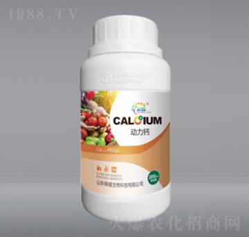 ��(d��ng)���}-��ʢ����