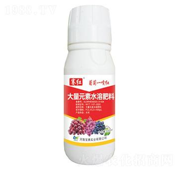 葡萄一噴紅-賽紅-寶典實(shí)業(yè)