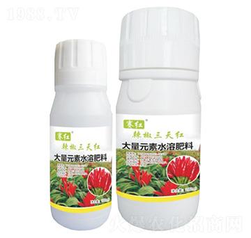 辣椒三天紅-賽紅-寶典實業(yè)