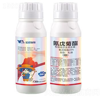 20%�����������-�{؈�ǻ�