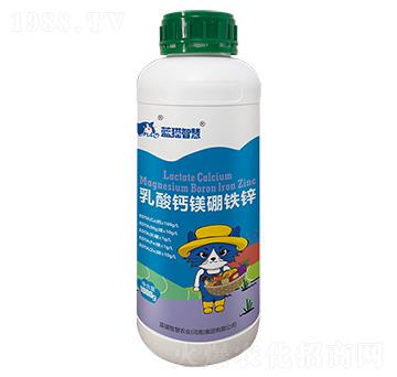 �����}�V���F�\-�{؈�ǻ�