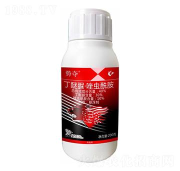 40%�����塤���x����-�݊Z-����¡����