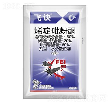 80%ϩड�����ͪ-�w�E-����¡����