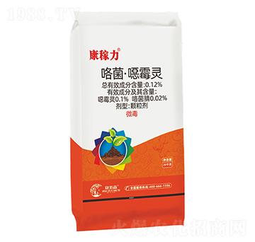 ���������ڲ���-������-����ɭ